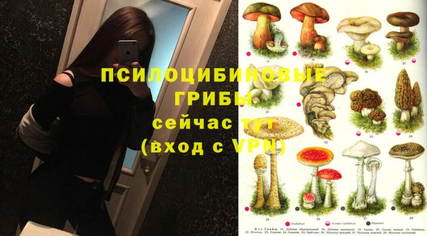 apvp Бородино