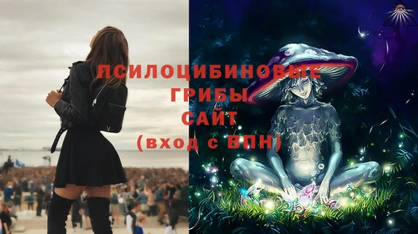 герыч Богородск