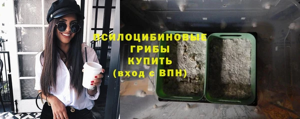 гашик Бронницы
