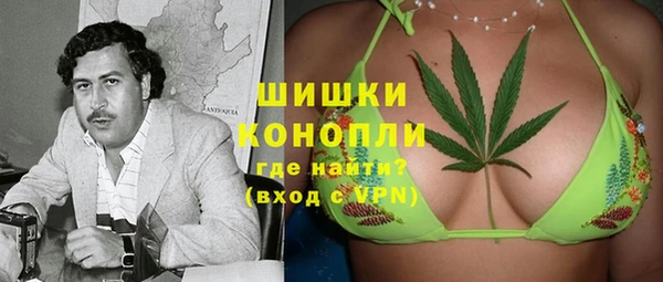 apvp Бородино