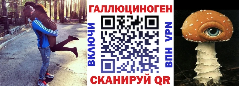 Галлюциногенные грибы Psilocybe  Губкинский 